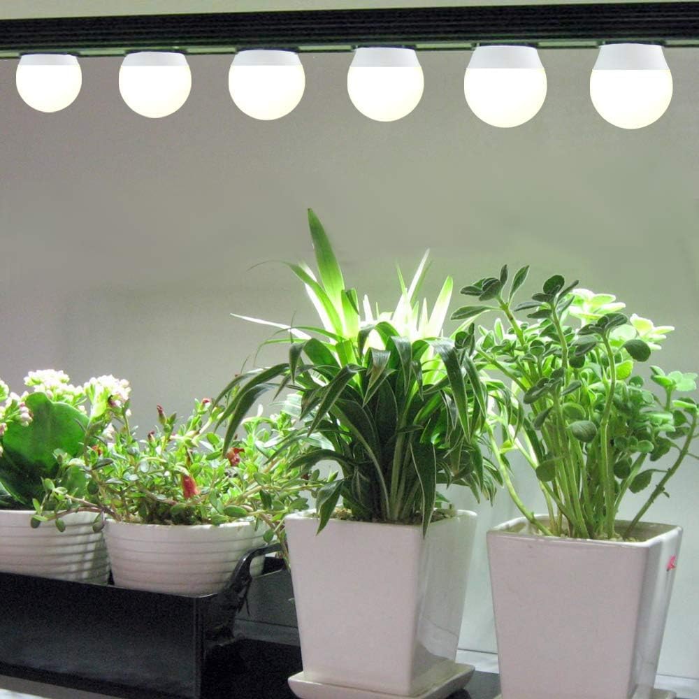 Wiyifada reliable 20,000-hour lifespan minimizes bulb replacements during growing seasons