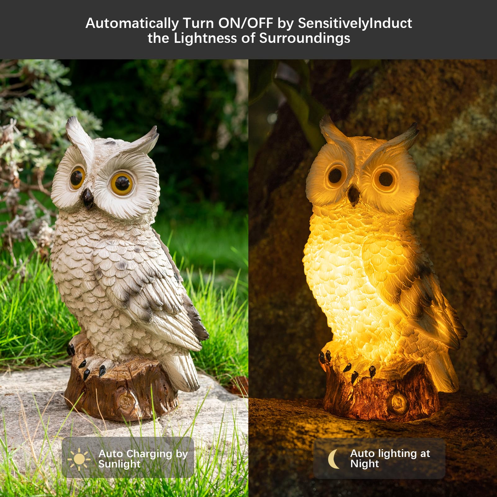 WONDHOME hand-painted owl detail showcases vivid features and craftsmanship.