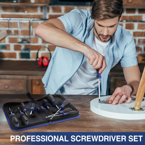 WORKPRO magnetic tips facilitate quick screw alignment on projects