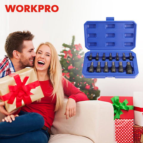 WORKPRO torx set suits automotive and DIY projects.