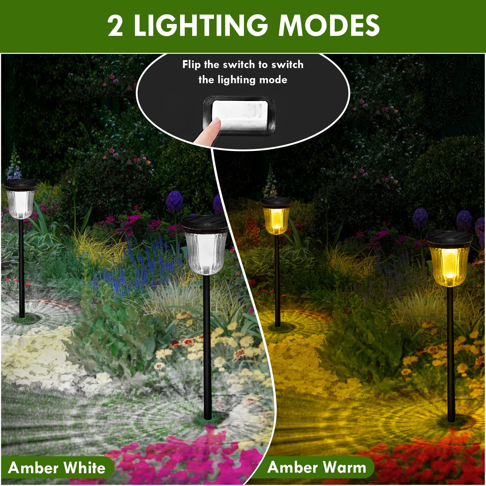 WTGEGF 200-lumen pathway lights enhance garden visibility.