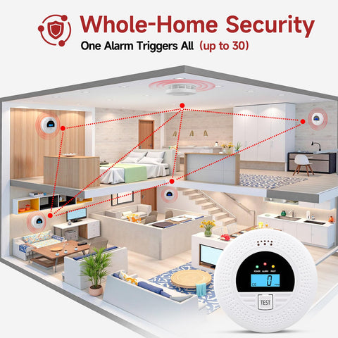 WUZETIAN LCD display shows clear alarm readings and status.