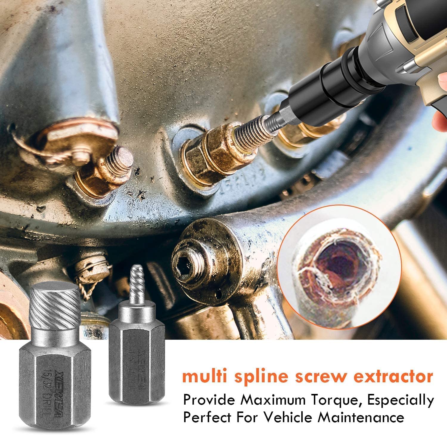 WYBENZ common sizes included for everyday repairs and projects.