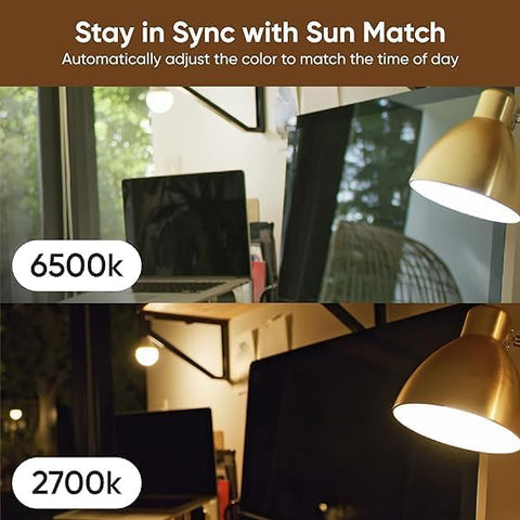 Wyze Lifestyle Bulb Color setup without a hub using the Wyze app.