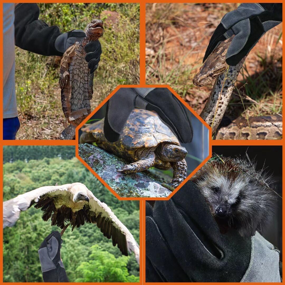 WZQH gloves versatile for animal care and workshop tasks.