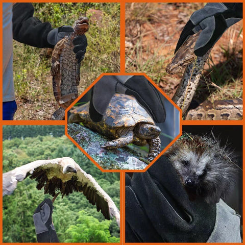 WZQH gloves versatile for animal care and workshop tasks.