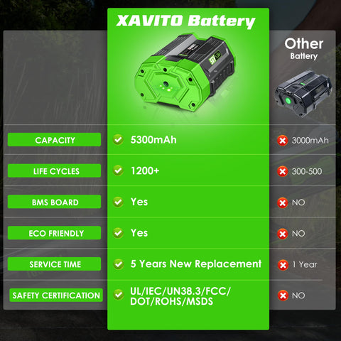 XAVITO 56V 5300mAh with smart BMS protection label