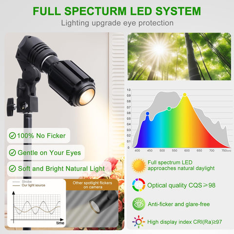 XINCLING plant lighting highlights greenery with high-CRI 10W bulb.