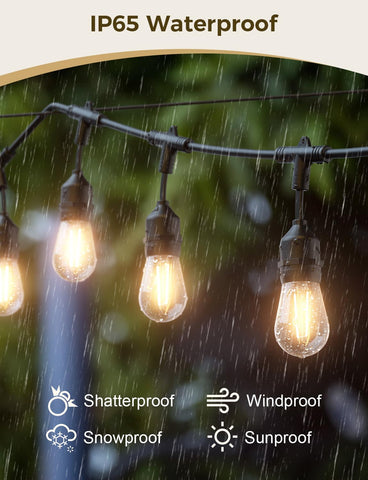 XMCOSY+ energy-saving LEDs deliver brighter ambience with lower power use.