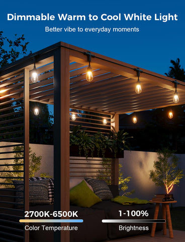 XMCOSY+ app control enables quick lighting scenes and schedules