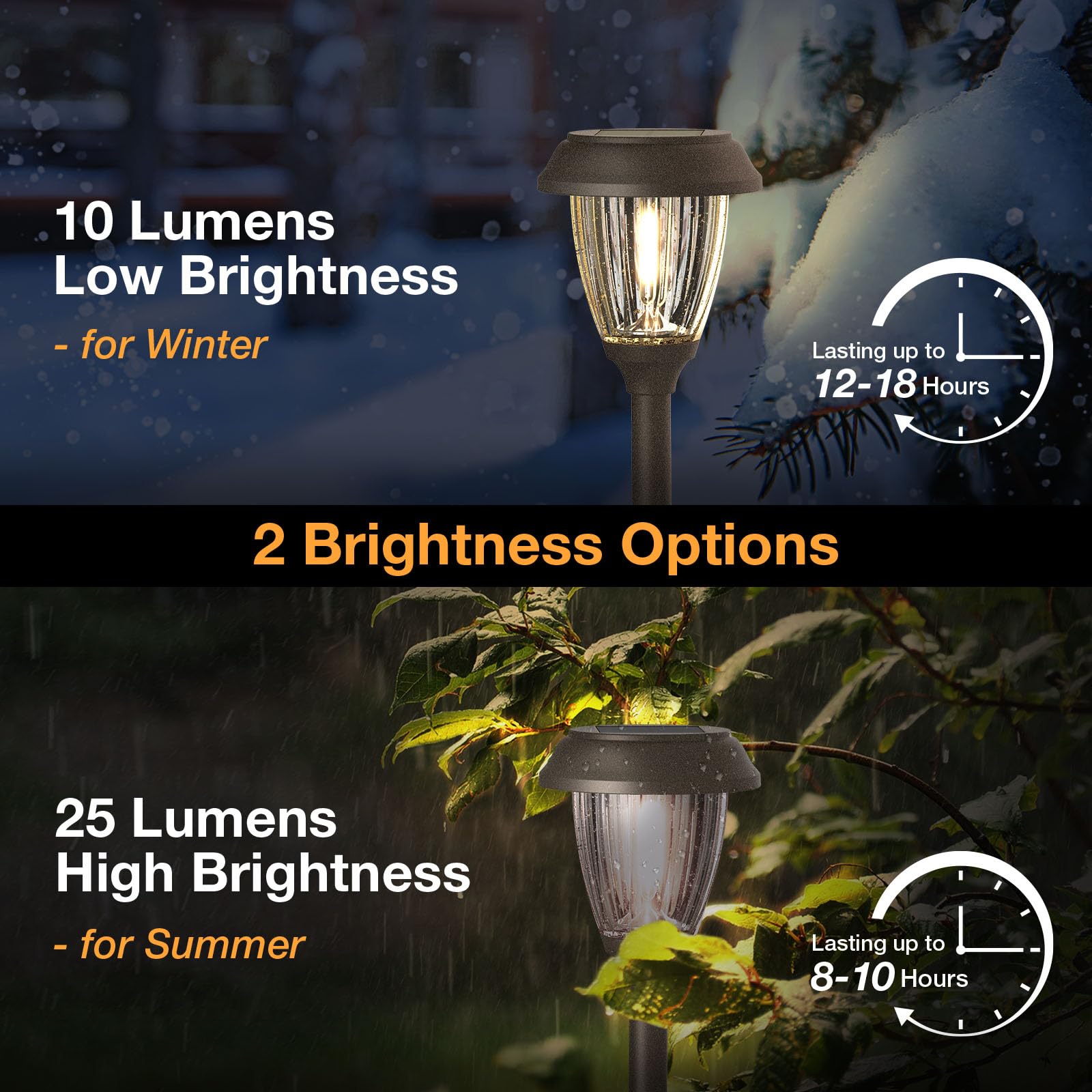XMCOSY+ bronze-finish stainless steel body offers durable, premium garden lighting