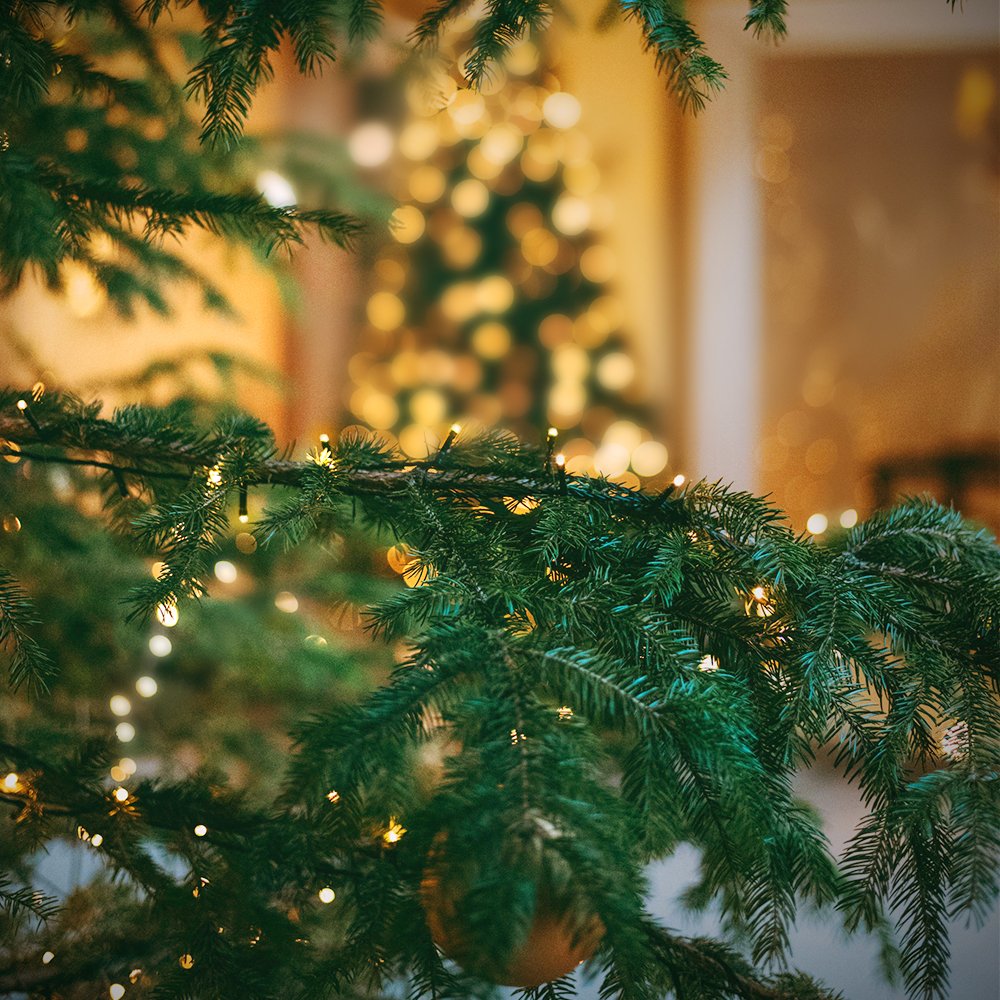 XTF2015 quick-install decor option adds sparkle to parties, holidays, and festive events.