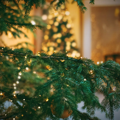 XTF2015 quick-install decor option adds sparkle to parties, holidays, and festive events.