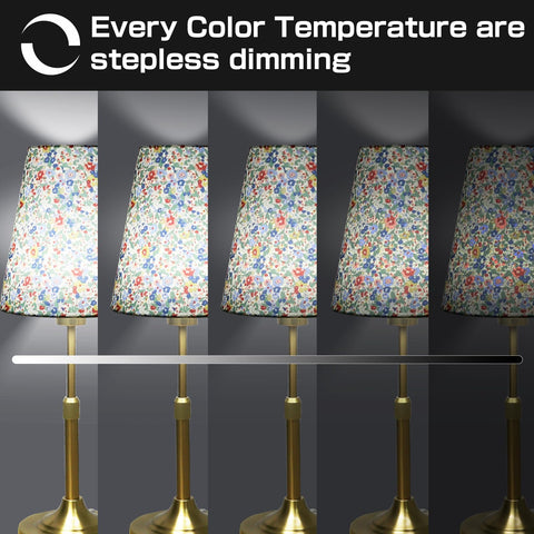 Xumemall lamp demonstrates 2700-6000K color temperature range for ambiance and task lighting.