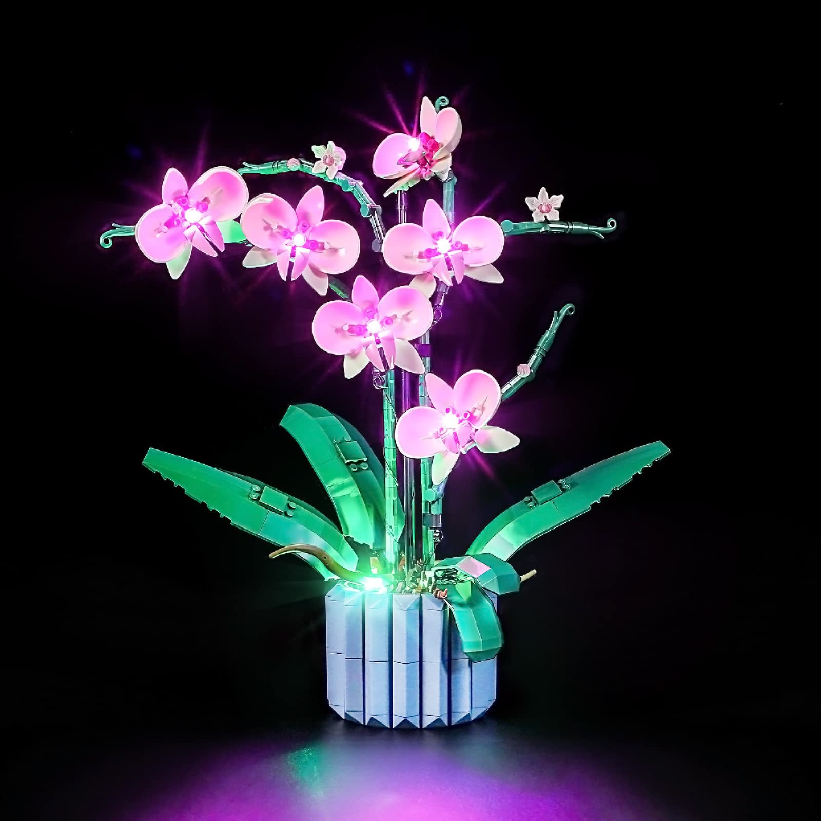 YEABRICKS orchid LED kit front view adds warm glow to the Lego display.