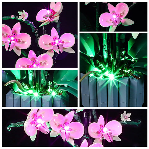 YEABRICKS orchid LED kit glow on petals highlights model details.