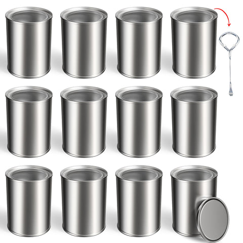 yeshine 12-pack empty paint cans with lids in silver for leftovers and DIY projects.