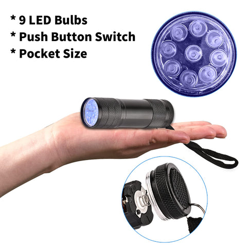 Yikosam bed bug stain detection under UV light