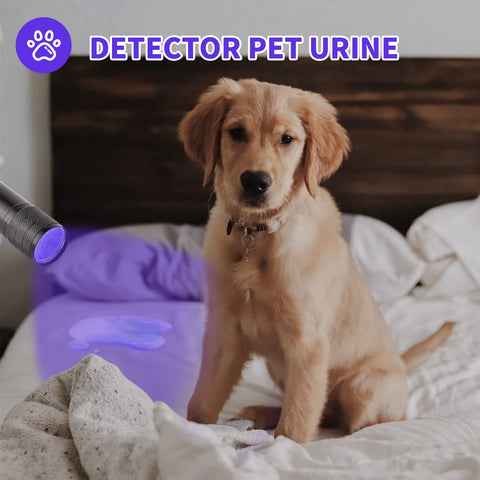 Yikosam pet urine detector UV light reveals hidden stains