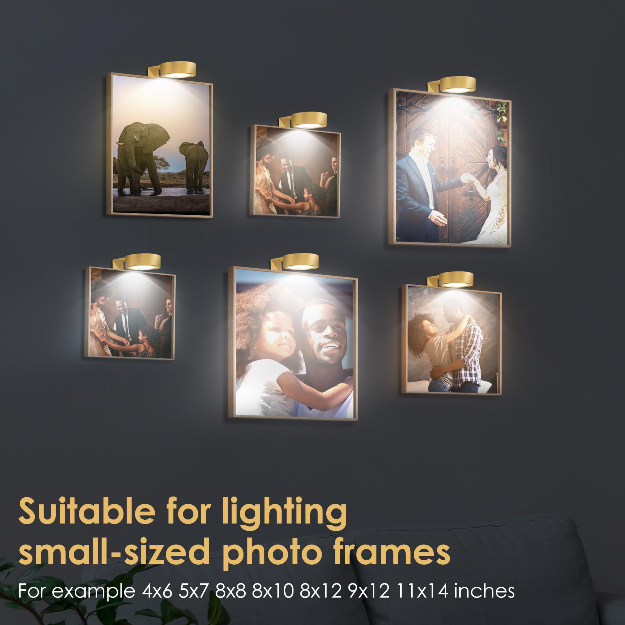 Yimaxps art display lighting enhances an 8x10 frame