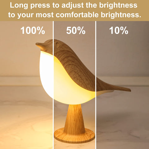 YM Dragon outdoor rechargeable bird light suitable for patio evenings