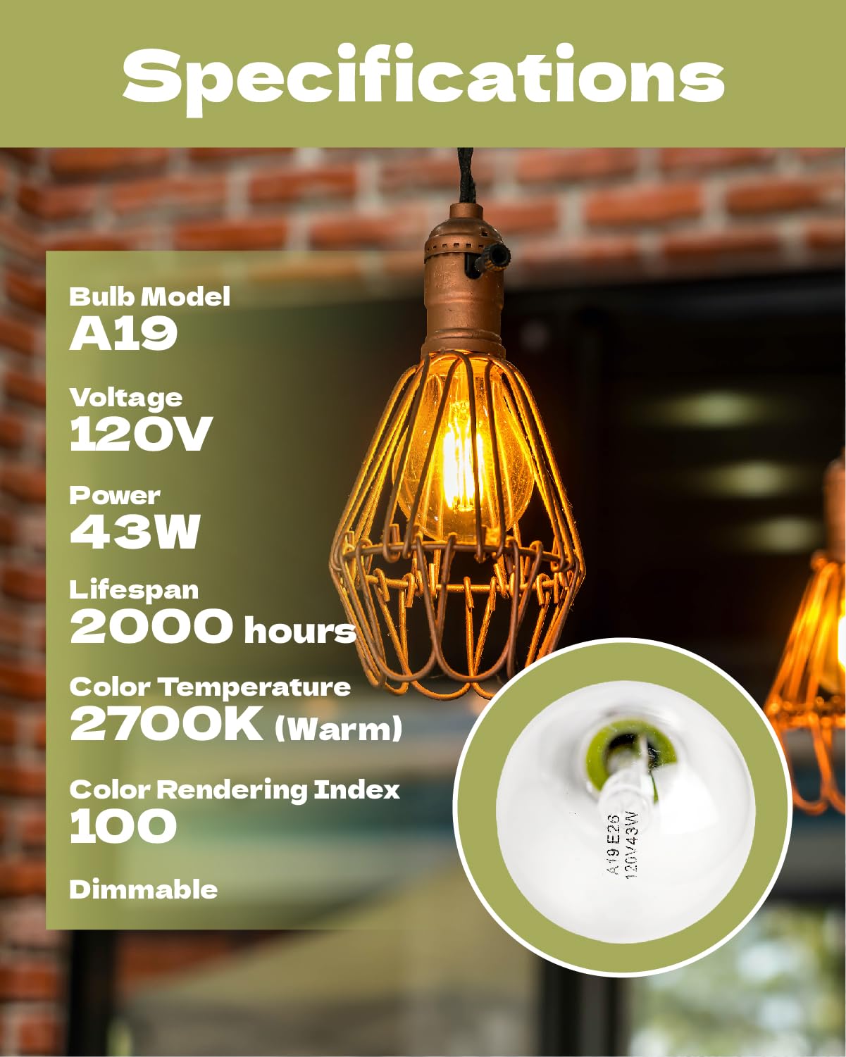 Zafee A19 bulb close-up with 2700K warm glow ideal for cozy rooms.