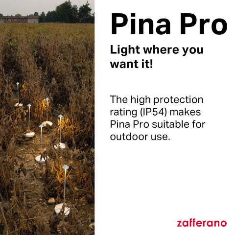 Zafferano Pina Pro diffuser close-up showing even light diffusion.