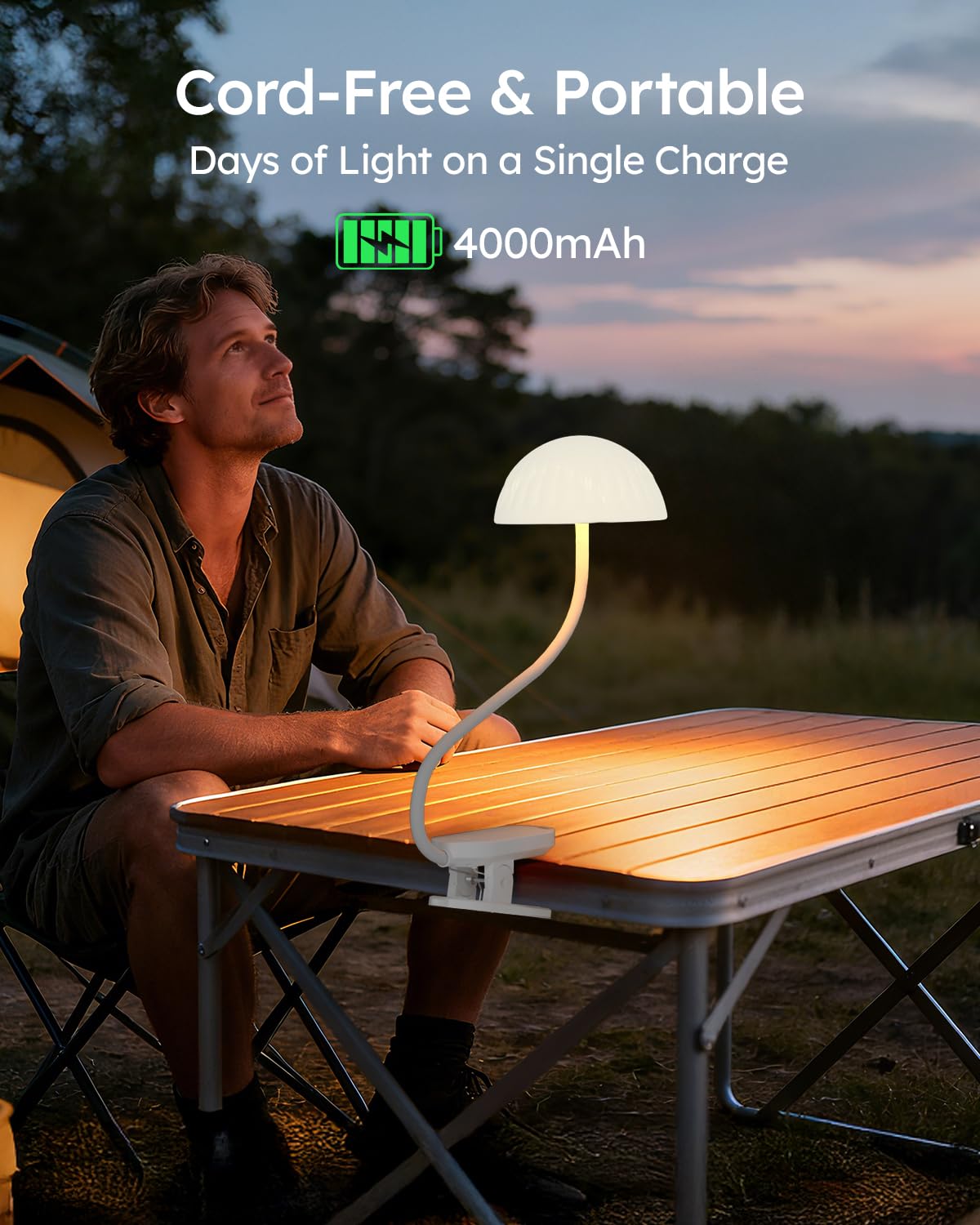 ZAPLIT 360-degree gooseneck enables precise positioning for study or relaxation.