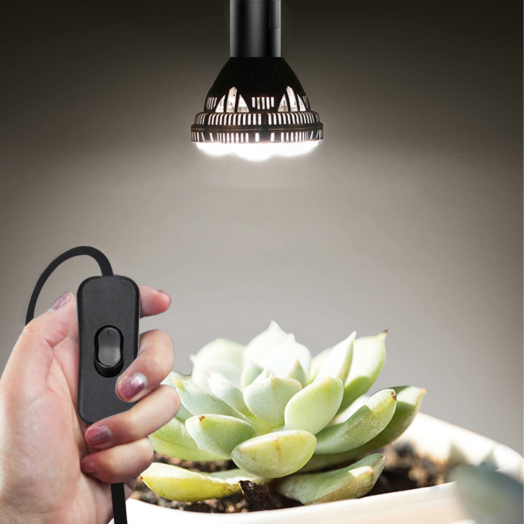 Zarnicy 8.2 ft lamp cord length for flexible hanging layouts.