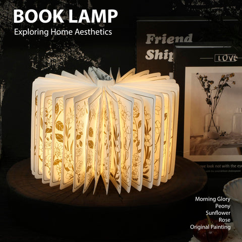 ZBOLE book light side illumination highlighting warm mood lighting for evenings.