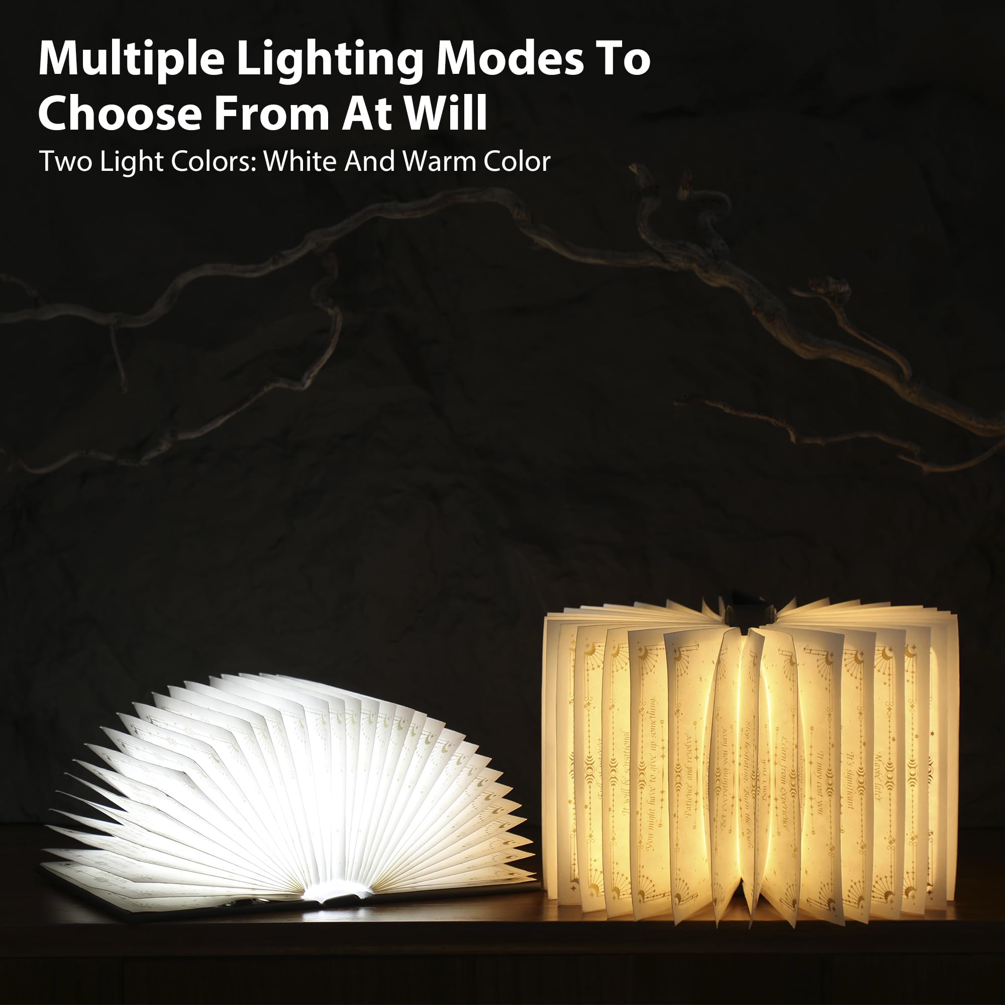 ZBOLE Magic Truth Book Light on shelf enhances decor and curiosity