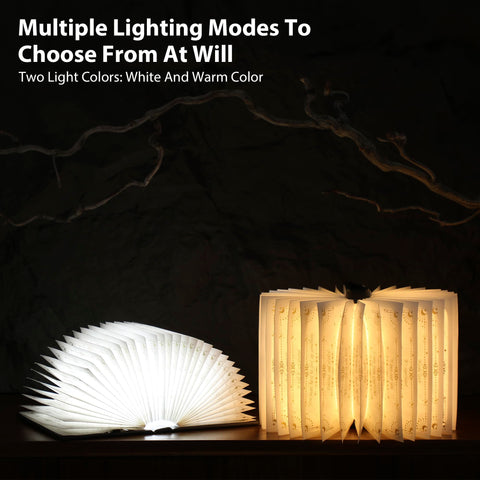 ZBOLE Magic Truth Book Light on shelf enhances decor and curiosity