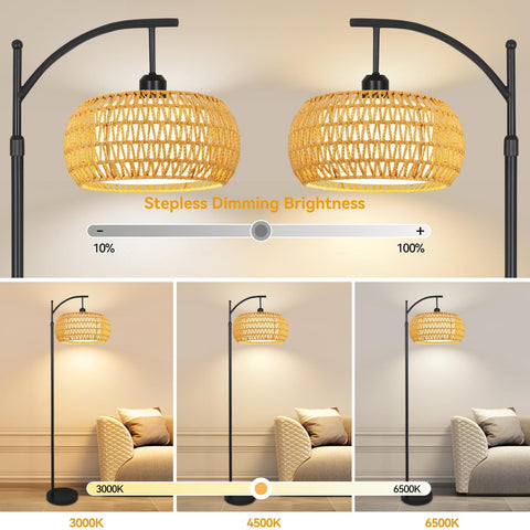 ZECOXOL Arc floor lamp with dimmable LED and 12W brightness control.