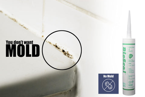 ZERED Clear BioSeal kitchen sink joint protects against splashes.
