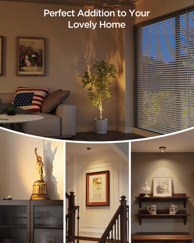 Zetunlo uplight ideal for accent lighting on trees and shelves.