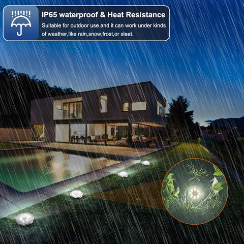 ZGWJ solar ground light captures night scene with warm inviting shine.