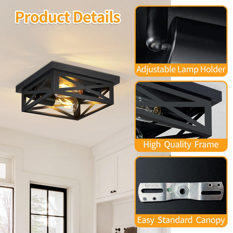 ZHU YAN black finish ceiling light suits living rooms and dining areas.