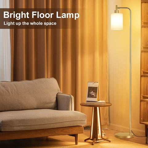 Ziisee living room setup with tall gold floor lamp.