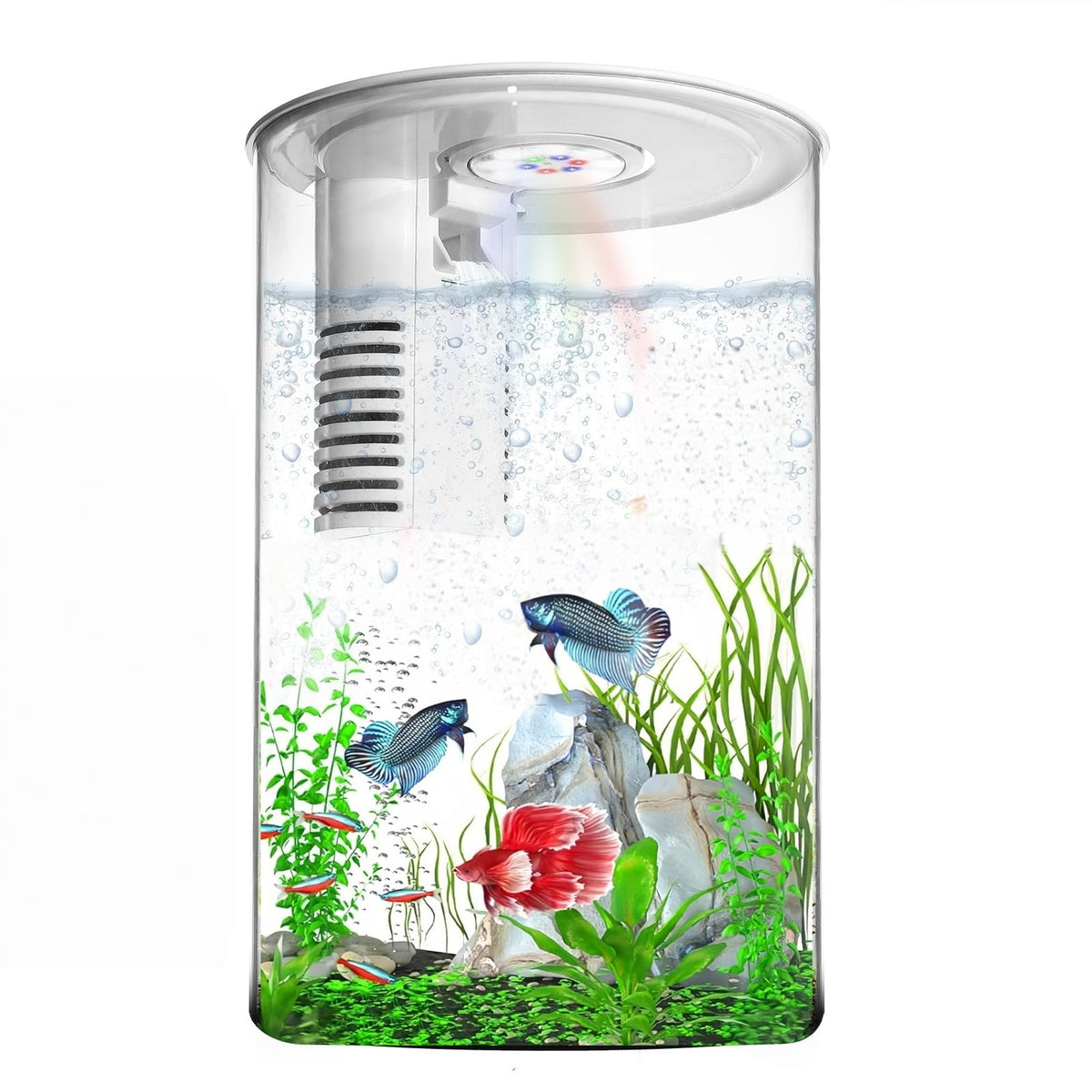 Zingbabu desktop fish tank 3-gallon LED light for compact desk setups