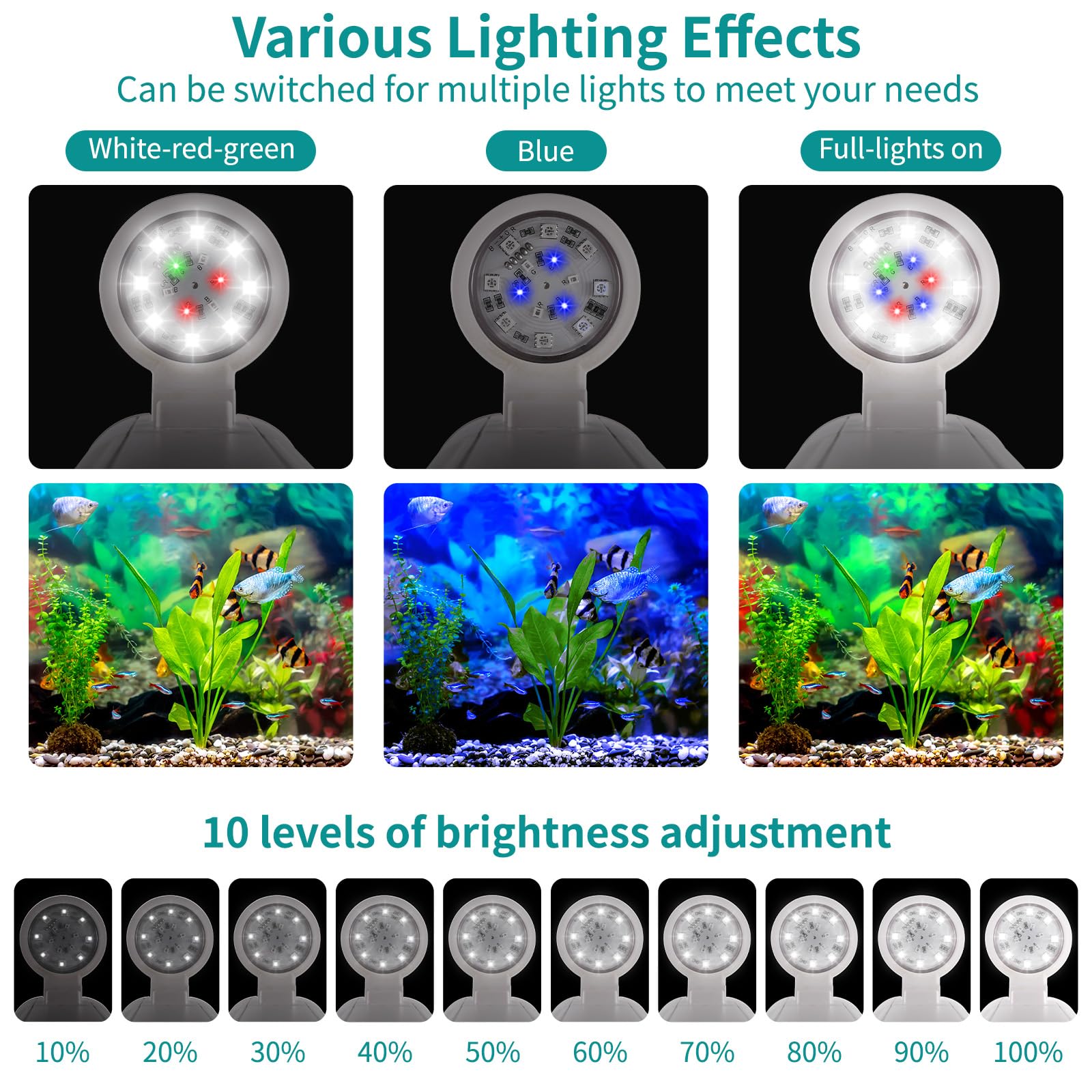 Zingbabu pet-safe materials ensure non-toxic construction for tiny freshwater pets