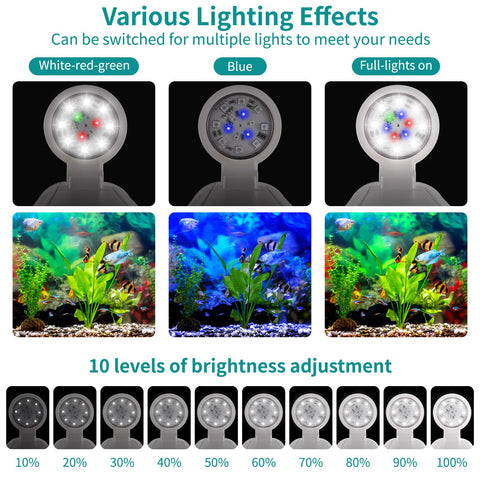 Zingbabu pet-safe materials ensure non-toxic construction for tiny freshwater pets