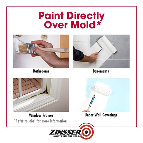 Zinsser water-based fungicidal coating applied under topcoat to cover stains