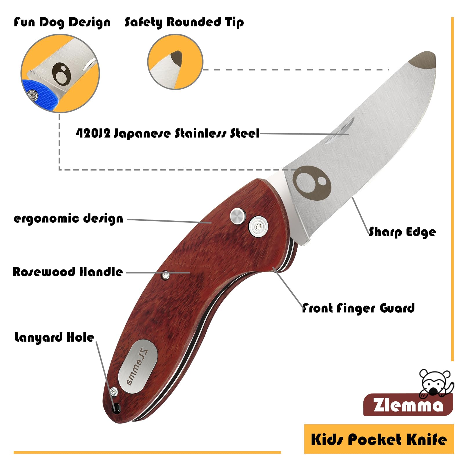 ZLemma educational design sparks curiosity while teaching safe handling.
