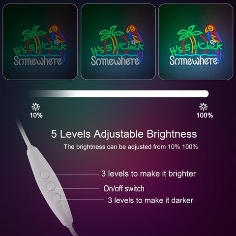 ZODZ Its five o'clock somewhere neon sign with dimmable brightness for mood lighting.