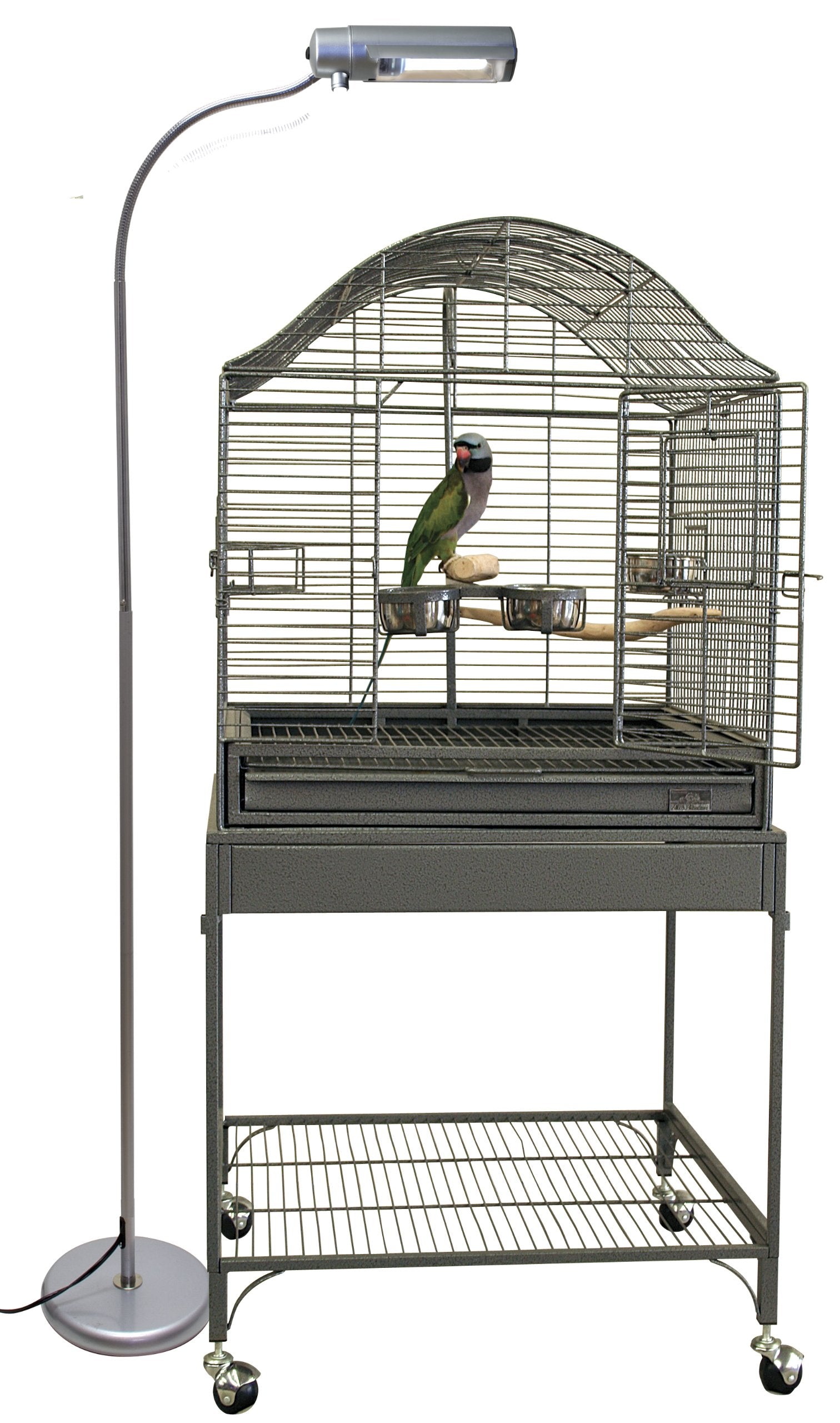 Zoo Med AvianSun Deluxe Floor Lamp in room providing indoor sunlight-like UVB/UVA for birds.