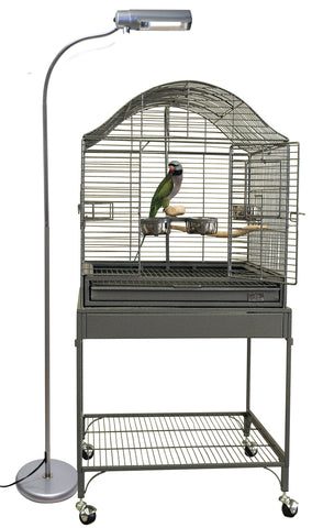 Zoo Med AvianSun Deluxe Floor Lamp in room providing indoor sunlight-like UVB/UVA for birds.