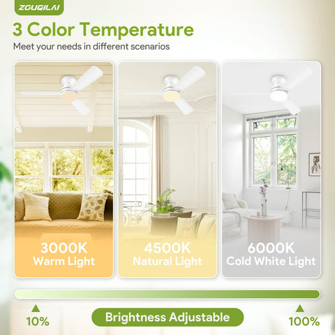 ZOUQILAI two timer options support automated shutoff after use.