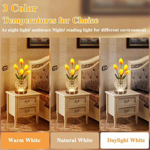 ZQPBLED Tulip lamp showing three color modes and memory function