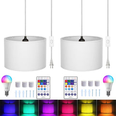 ZSLAIFU 15ft plug-in pendant light with switch, easy plug-in installation for any space.