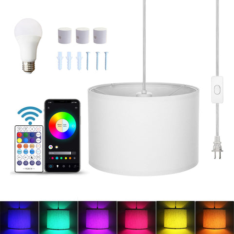 ZSLAIFU hanging lamp with switch and remote for effortless room control.
